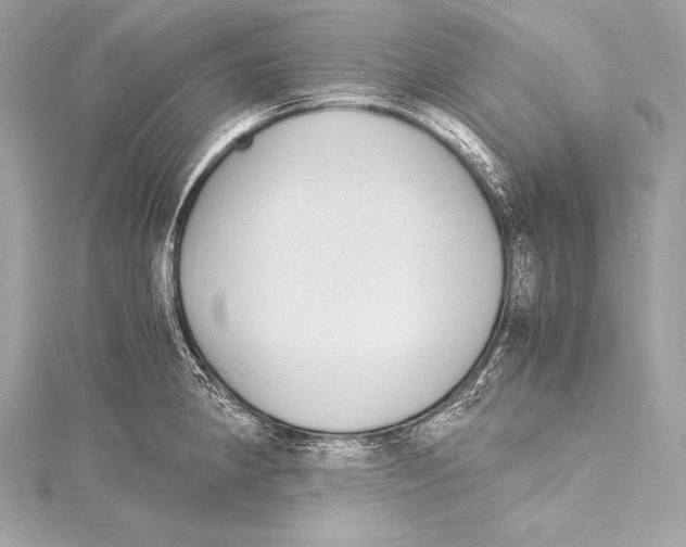 X0000115341190200911301541