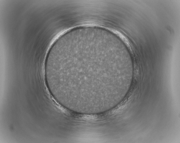 X0000115341191200911301541