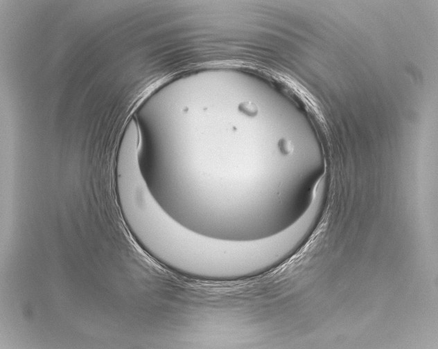 X0000115341193200911301541