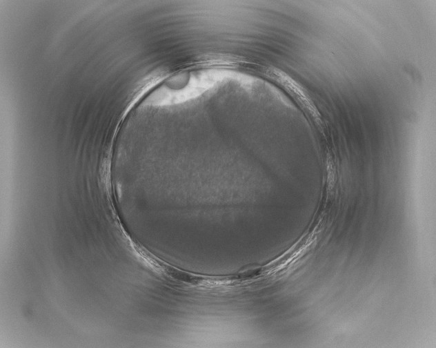 X0000115341194200911301541