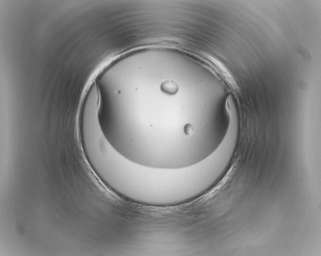 X0000115341196200911301541