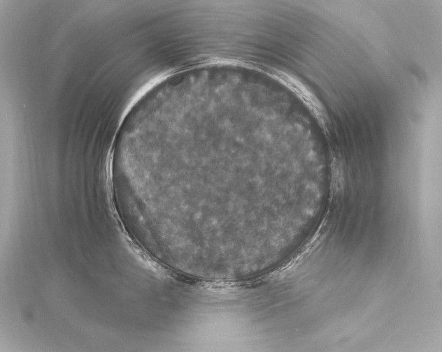 X0000115341198200911301541