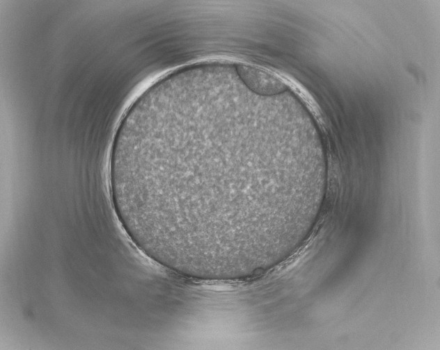 X0000115341199200911301541