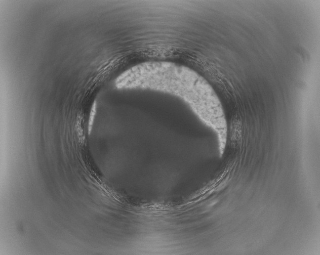 X0000115341202200911301541