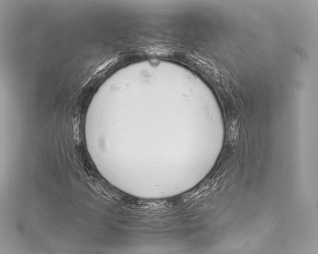 X0000115341205200911301541