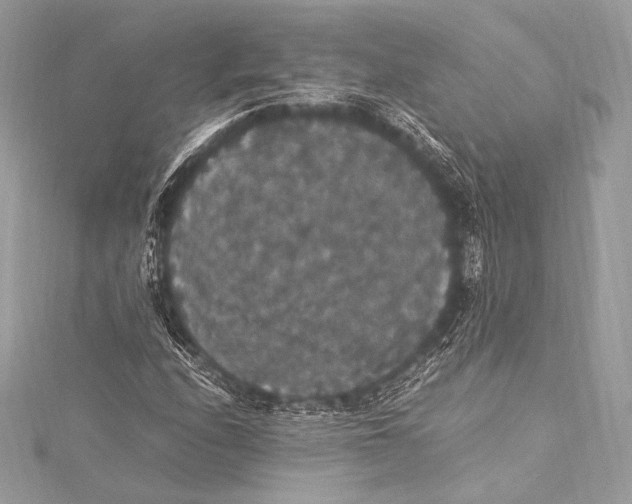 X0000115341208200911301541