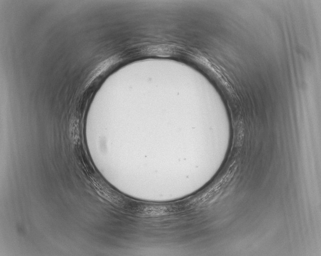 X0000115341211200911301541