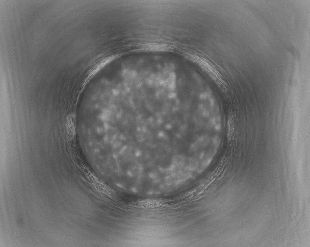 X0000115341212200911301541