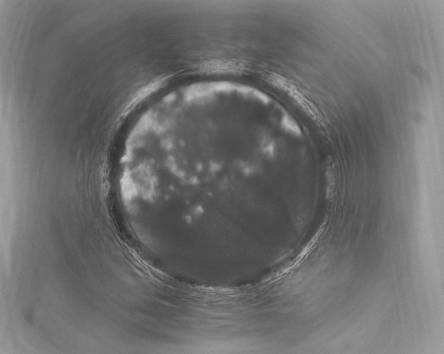 X0000115341213200911301541