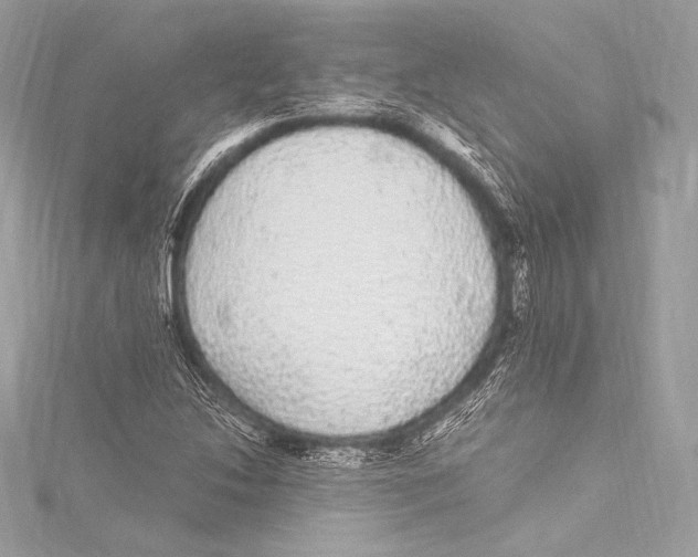 X0000115341214200911301541