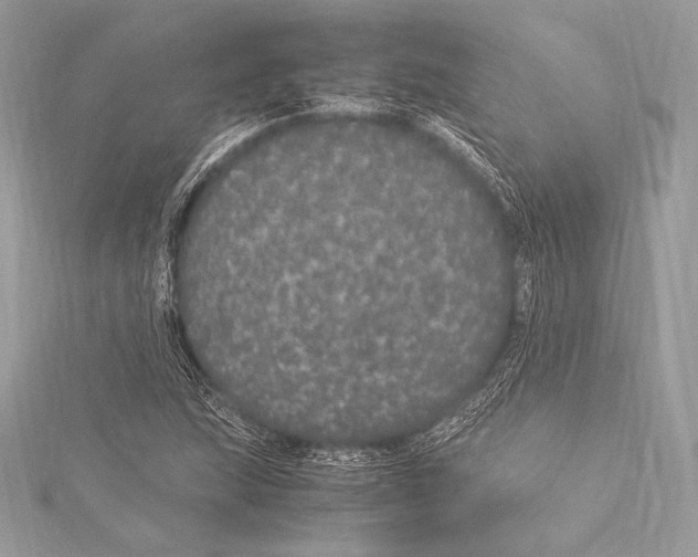 X0000115341215200911301541