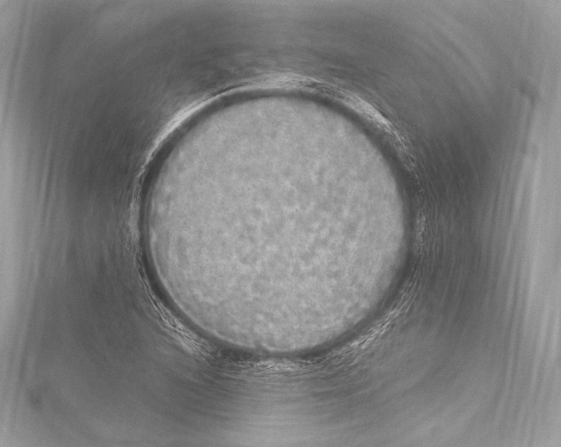 X0000115341216200911301541