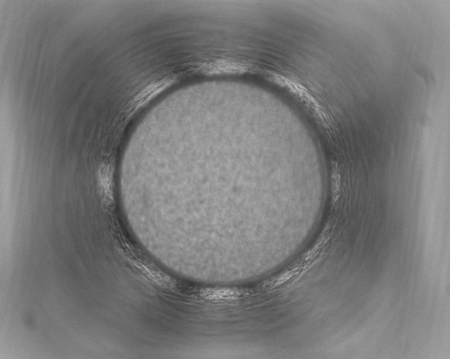 X0000115341217200911301541