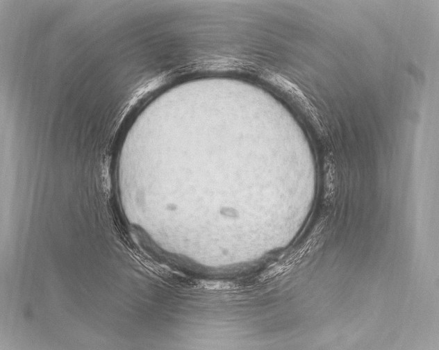 X0000115341218200911301541