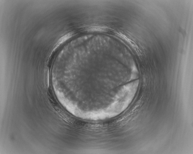 X0000115341219200911301541