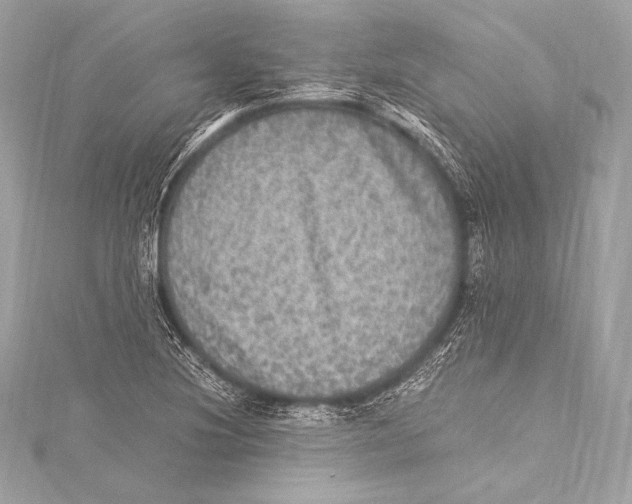 X0000115341220200911301541