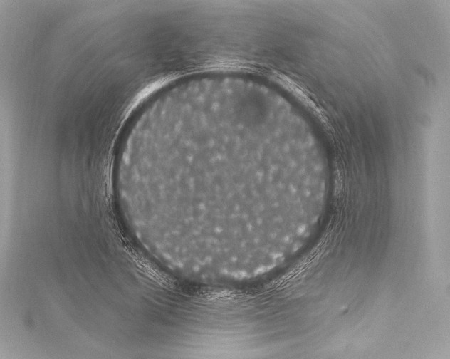 X0000115341222200911301541