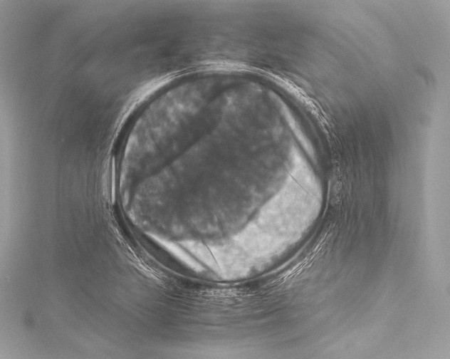 X0000115341223200911301541