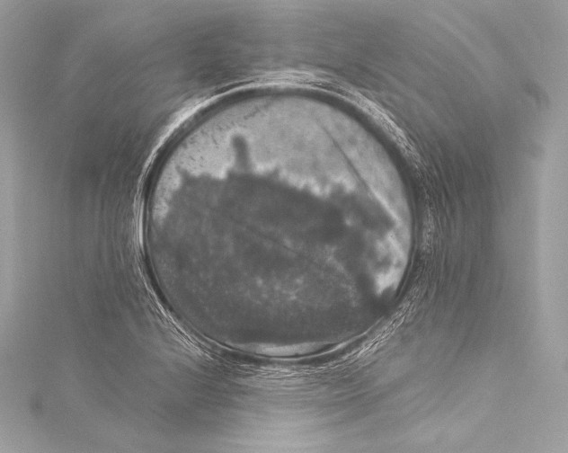 X0000115341224200911301541