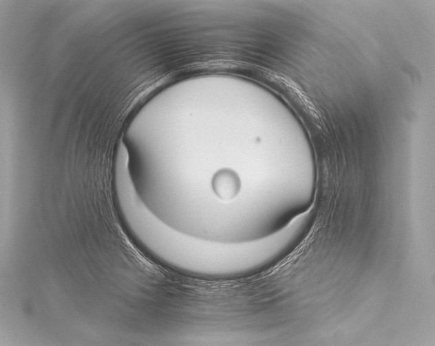 X0000115341225200911301541