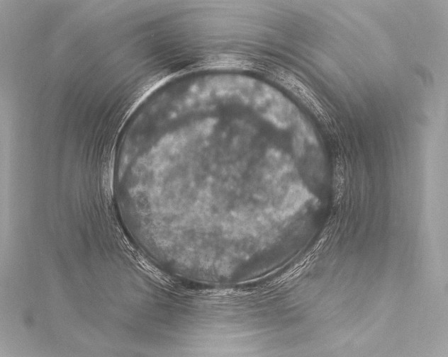 X0000115341228200911301541