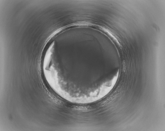 X0000115341229200911301541