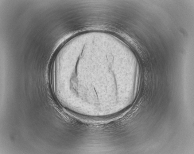 X0000115341230200911301541