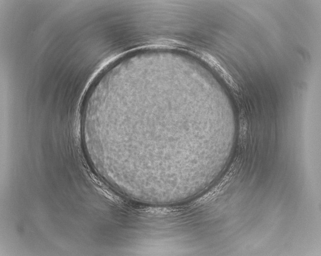 X0000115341232200911301541