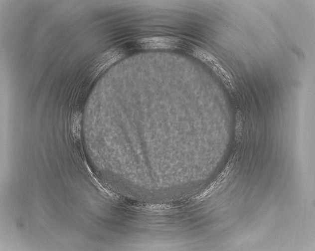 X0000115341233200911301541