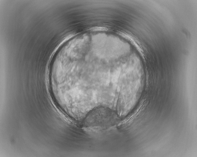 X0000115341235200911301541