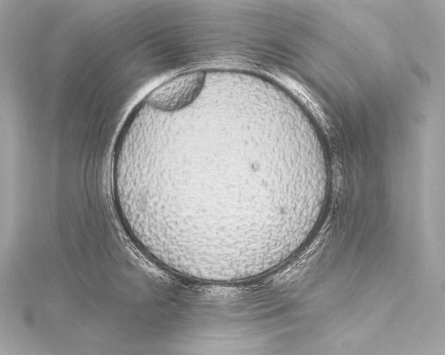 X0000115341238200911301541