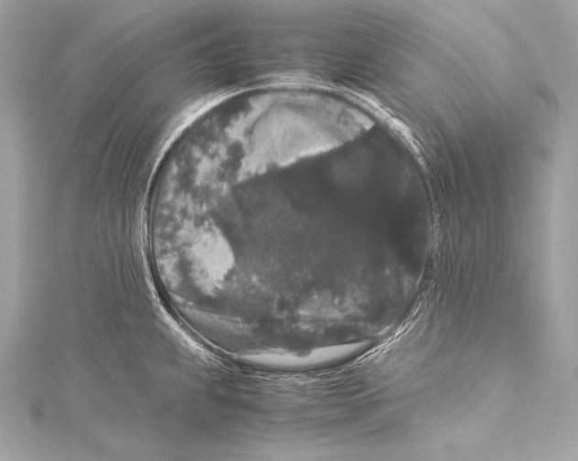 X0000115341239200911301541