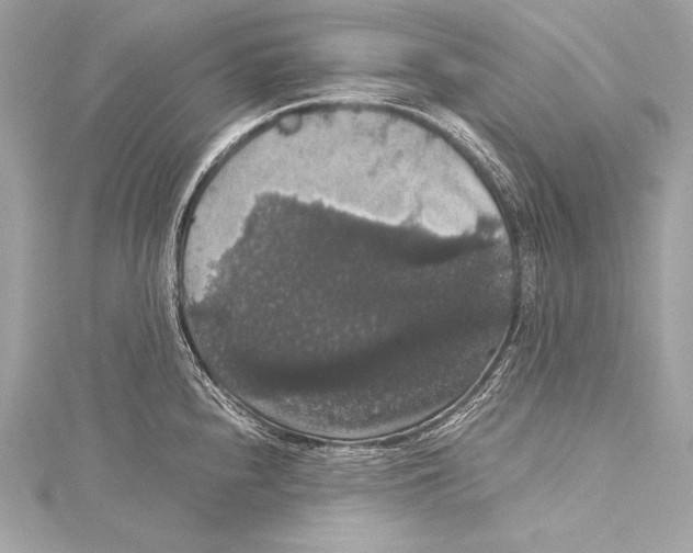 X0000115341240200911301541