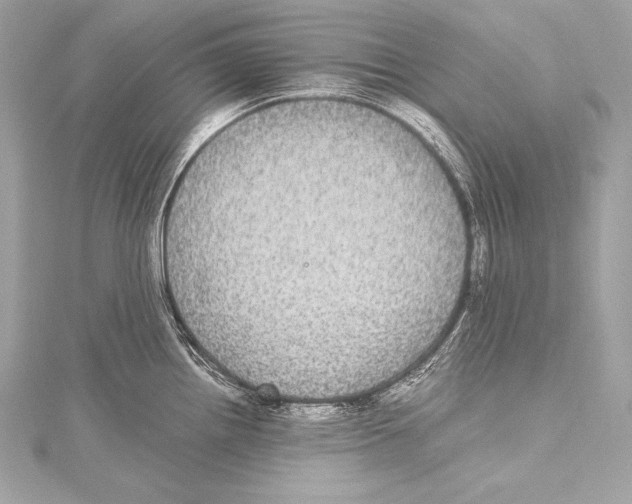 X0000115341242200911301541