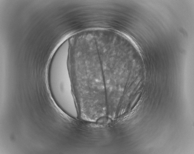 X0000115341243200911301541