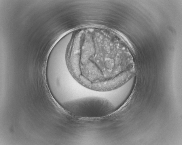 X0000115341244200911301541