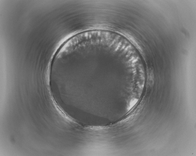 X0000115341246200911301541