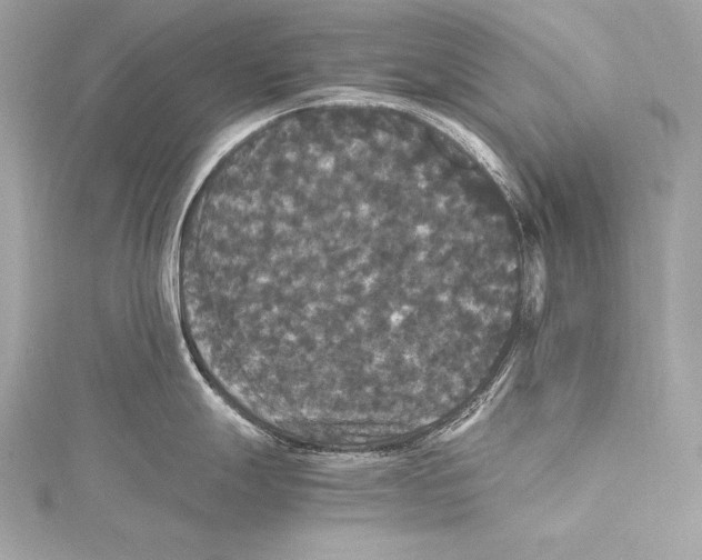 X0000115341247200911301541