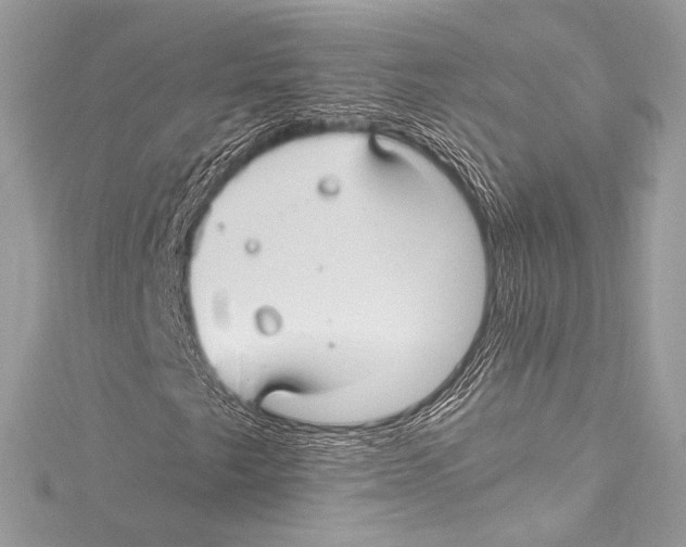 X0000115341249200911301541