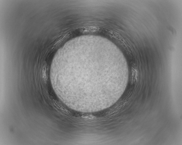 X0000115341250200911301541