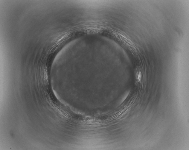 X0000115341252200911301541