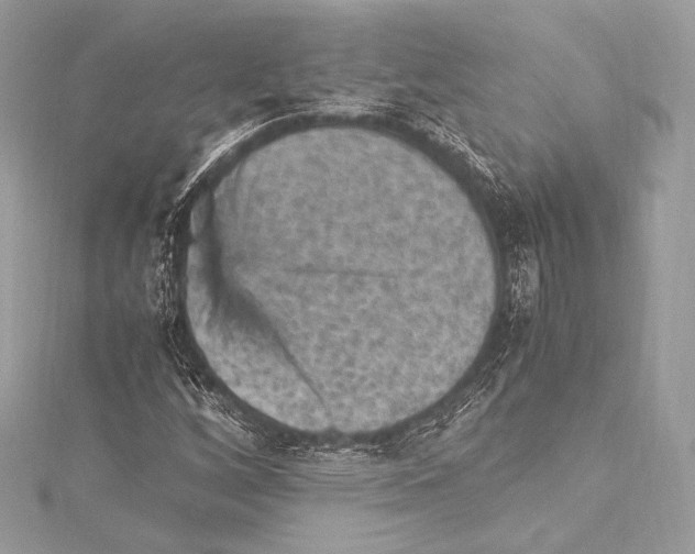 X0000115341256200911301540