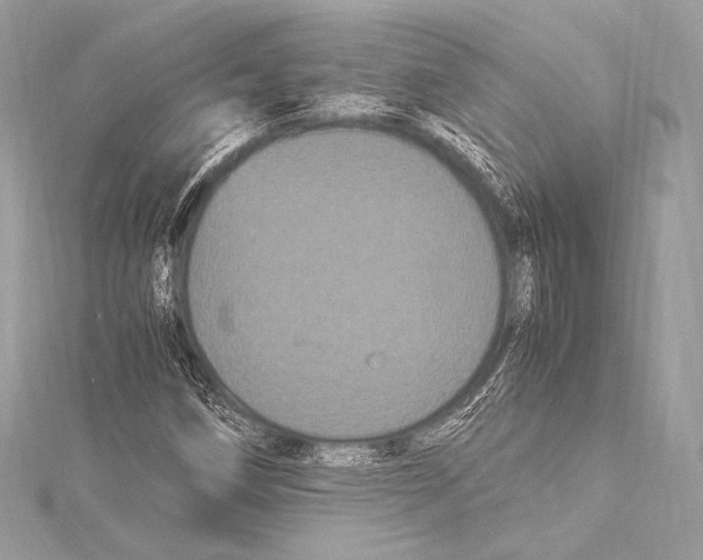 X0000115341258200911301540