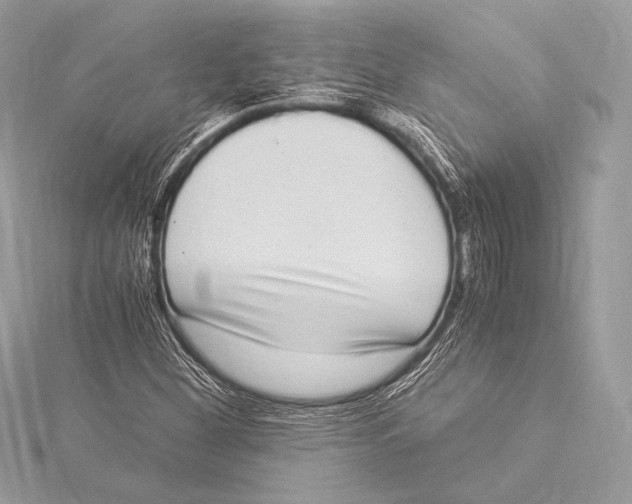 X0000115341260200911301540