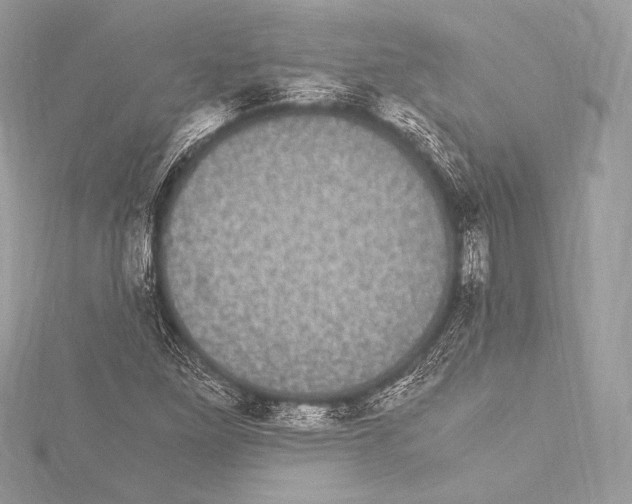 X0000115341261200911301540