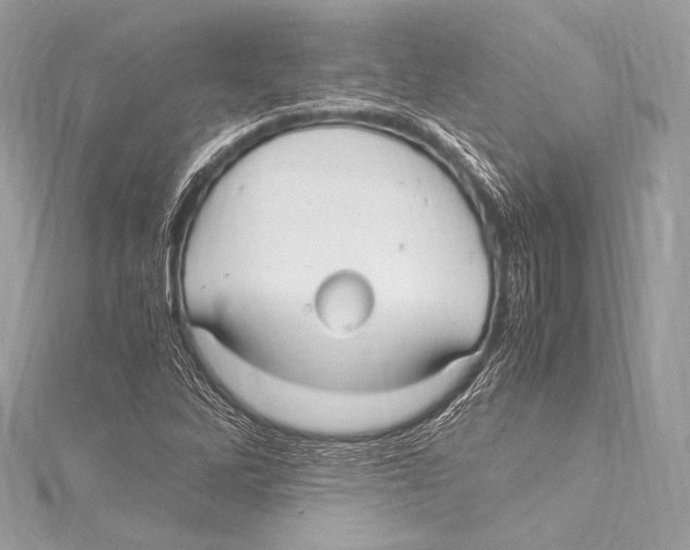 X0000115341262200911301540