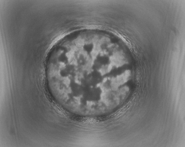 X0000115341263200911301540