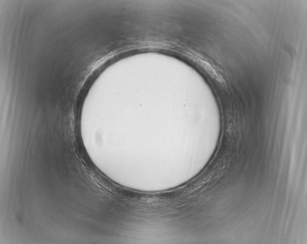 X0000115341264200911301540