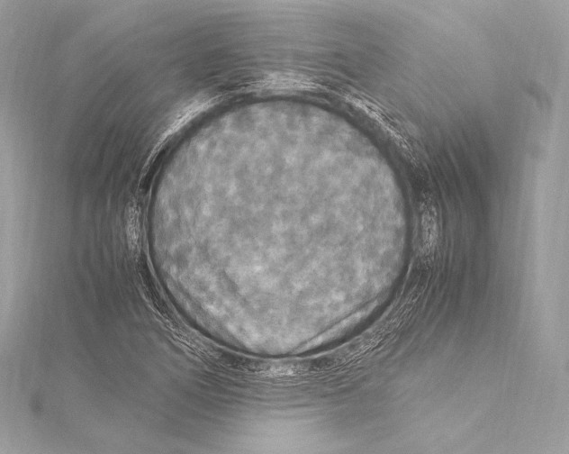 X0000115341266200911301540