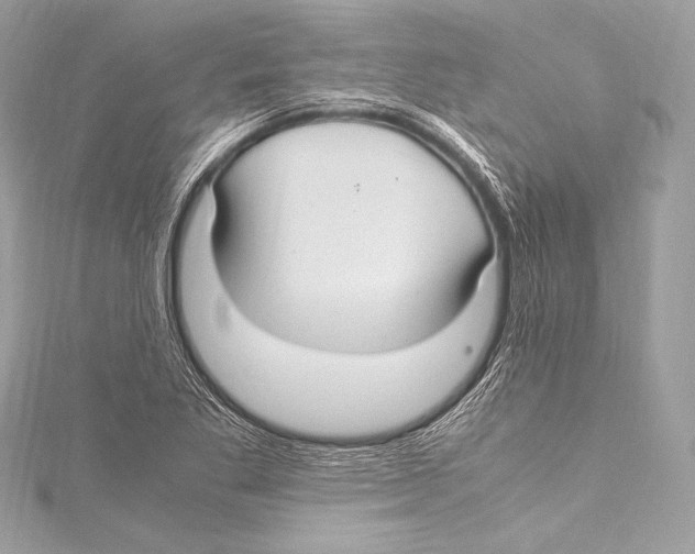 X0000115341269200911301540